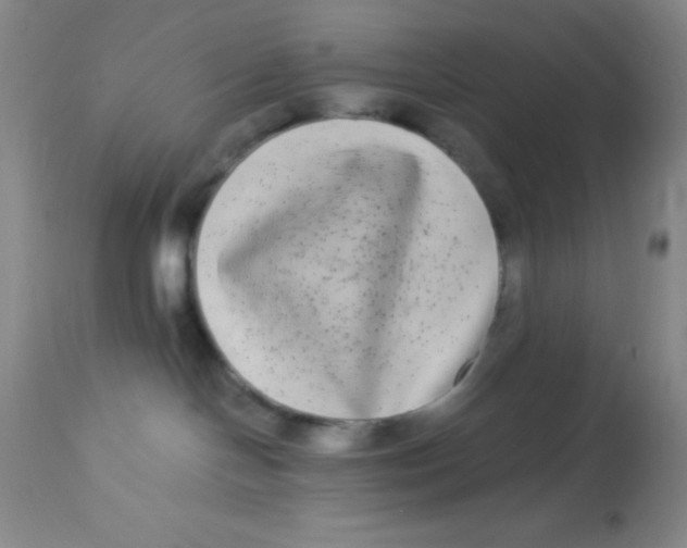 X0000112890094200909181922