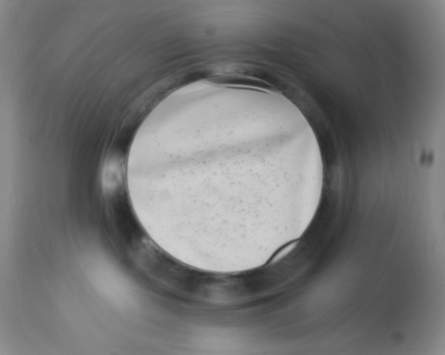X0000112890095200909181922
