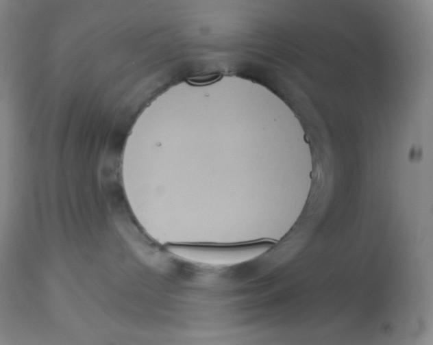 X0000112890096200909181922