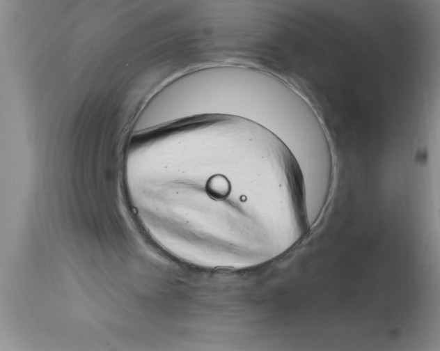 X0000112890097200909181921