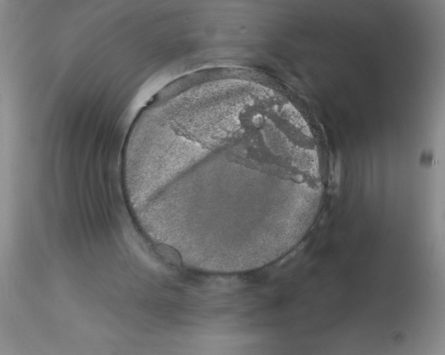 X0000112890099200909181921
