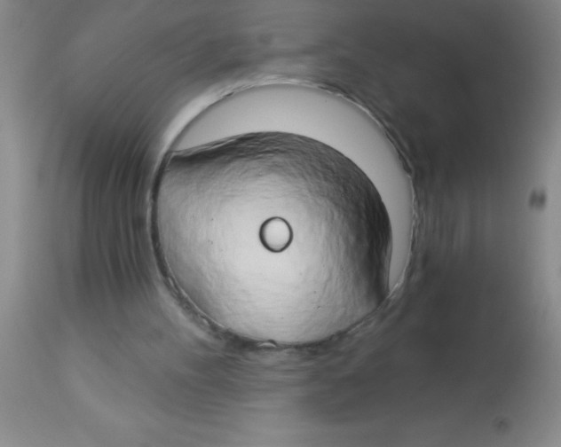 X0000112890100200909181921