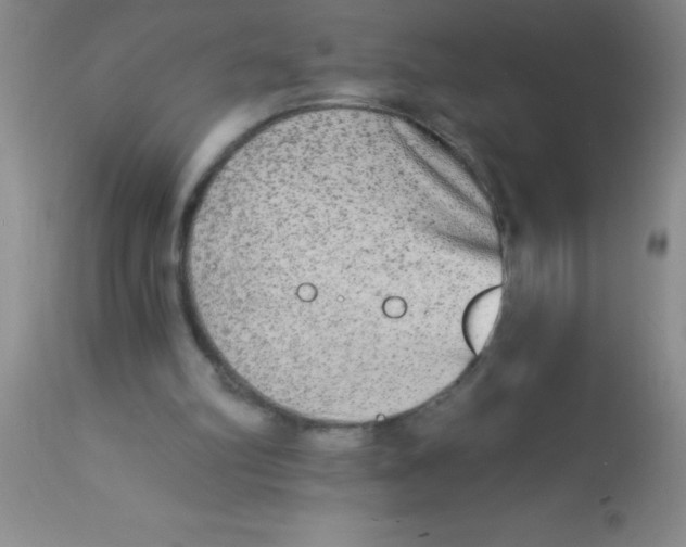 X0000112890102200909181921