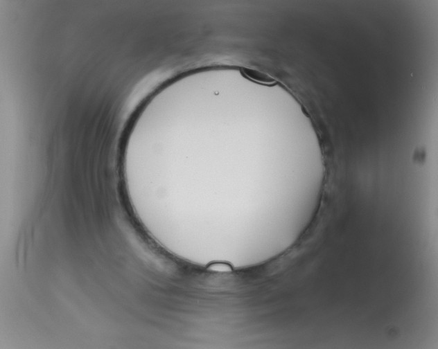 X0000112890104200909181921