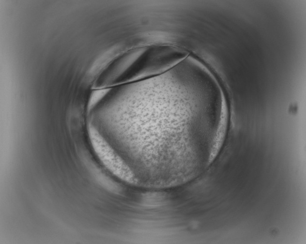 X0000112890105200909181921
