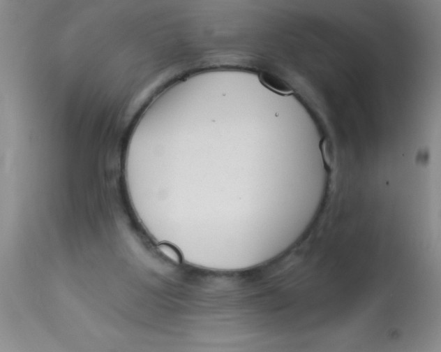 X0000112890107200909181921