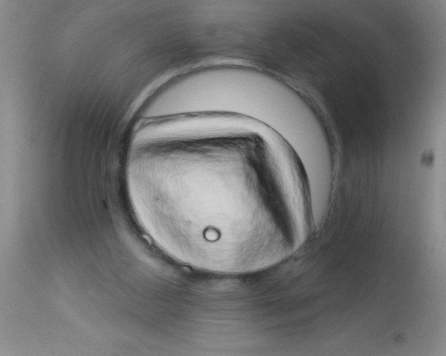 X0000112890108200909181921