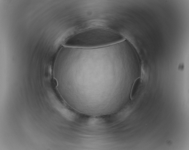 X0000112890109200909181921