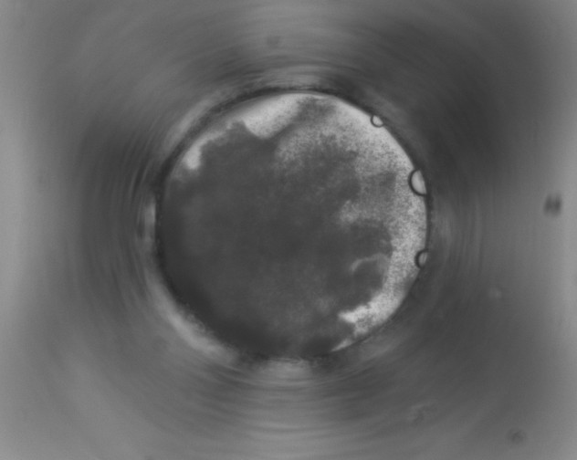 X0000112890110200909181921
