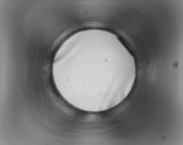 X0000112890111200909181921