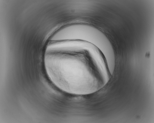 X0000112890112200909181921