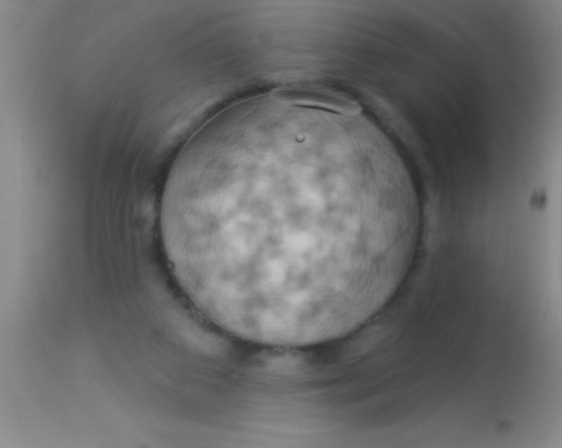 X0000112890113200909181921