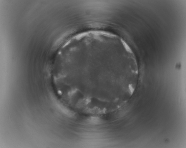 X0000112890114200909181921