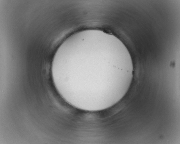 X0000112890115200909181921