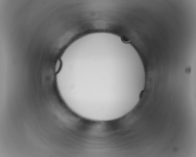X0000112890116200909181921