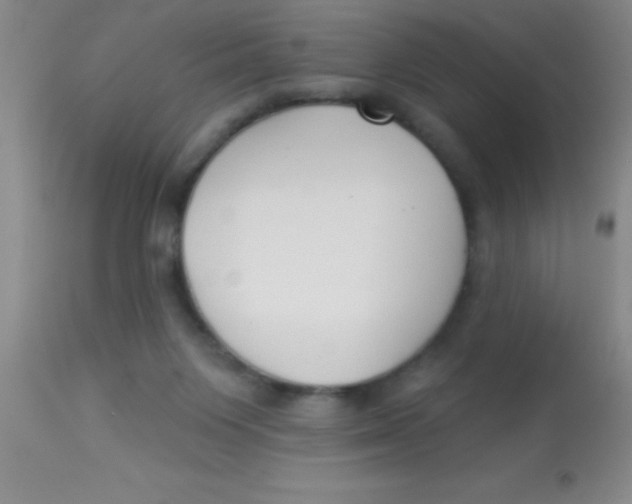 X0000112890119200909181921