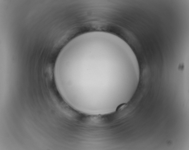 X0000112890121200909181921
