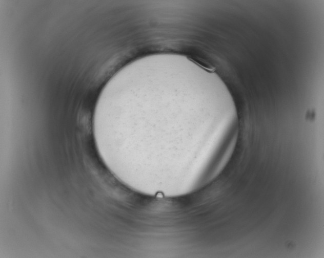 X0000112890123200909181921