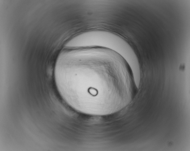 X0000112890124200909181921