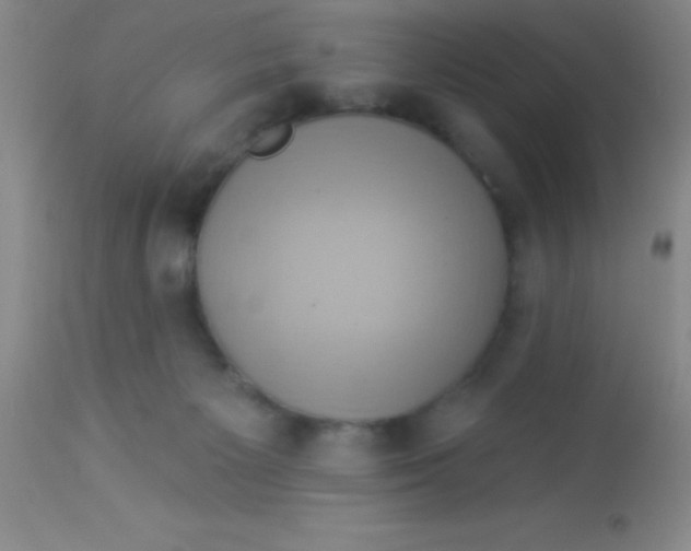X0000112890125200909181921
