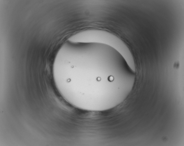 X0000112890128200909181921