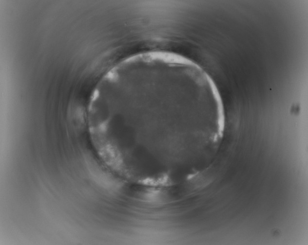 X0000112890130200909181921