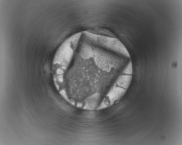 X0000112890131200909181921