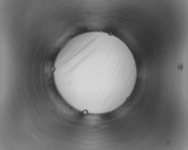X0000112890133200909181921