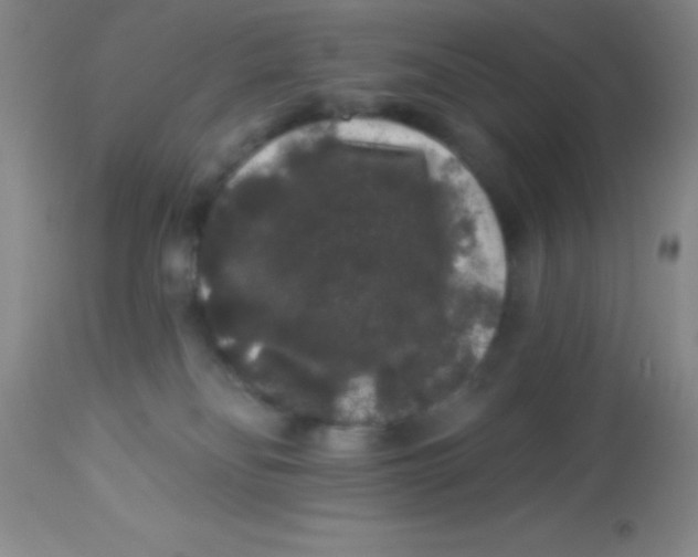 X0000112890134200909181921