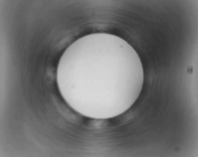 X0000112890135200909181921