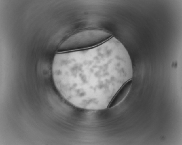 X0000112890136200909181921