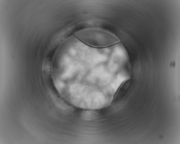 X0000112890137200909181921