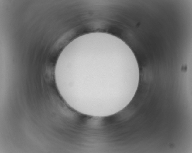 X0000112890138200909181920
