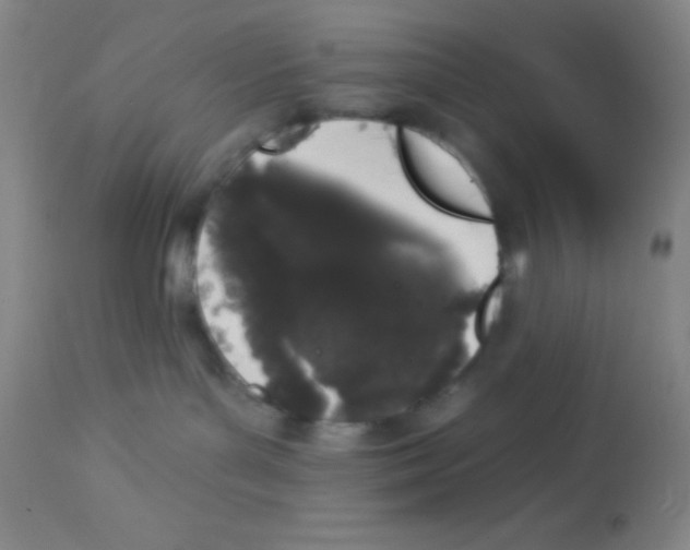 X0000112890143200909181920