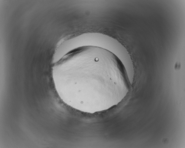 X0000112890144200909181920