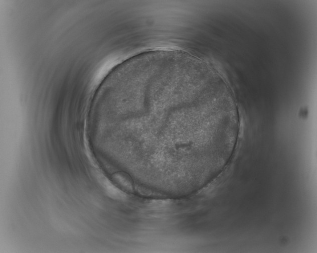 X0000112890145200909181920