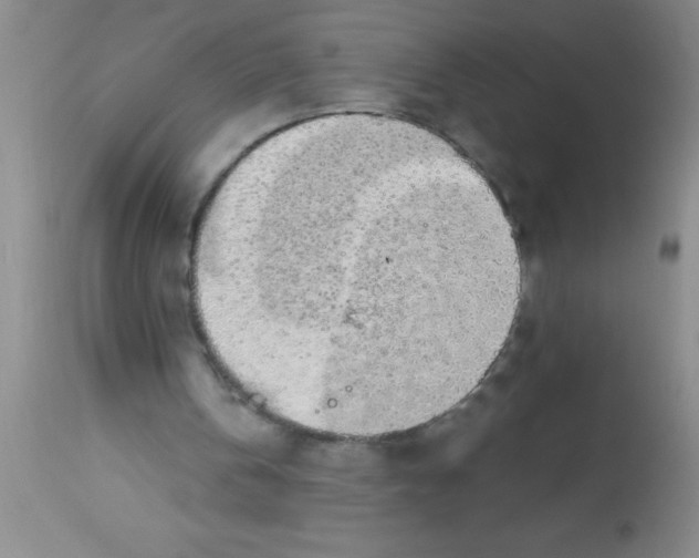 X0000112890146200909181920