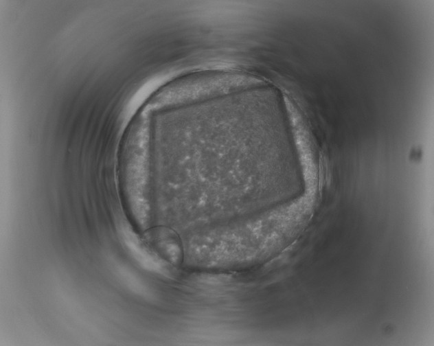 X0000112890147200909181920
