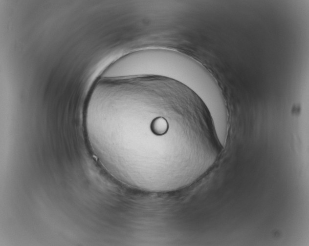 X0000112890148200909181920