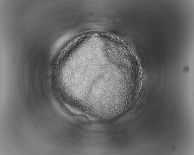 X0000112890149200909181920