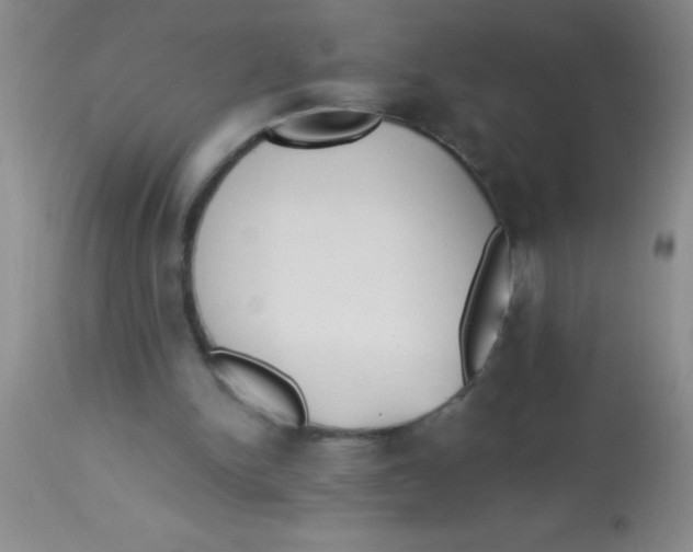 X0000112890150200909181920
