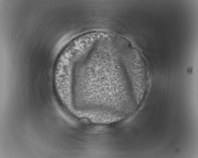 X0000112890151200909181920