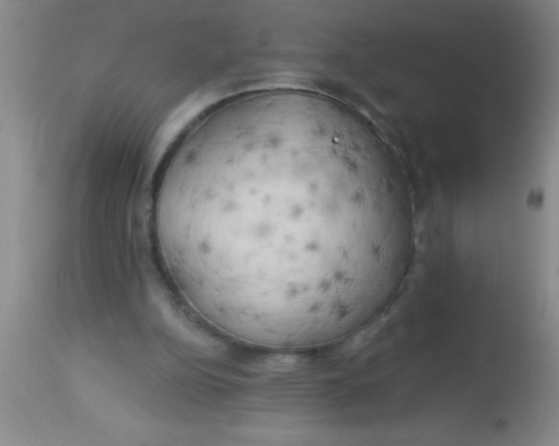 X0000112890152200909181920
