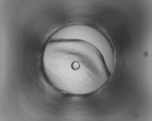 X0000112890154200909181920
