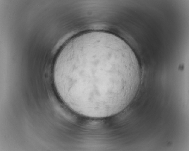 X0000112890155200909181920