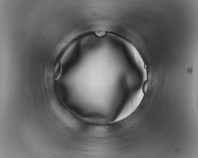 X0000112890156200909181920