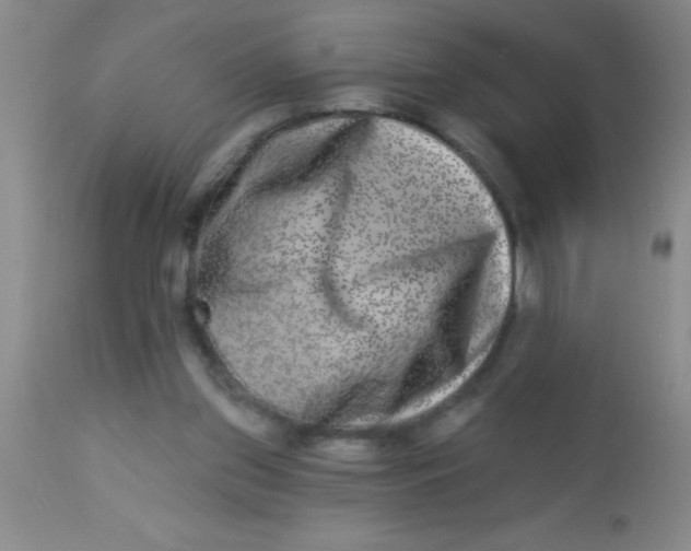 X0000112890157200909181920