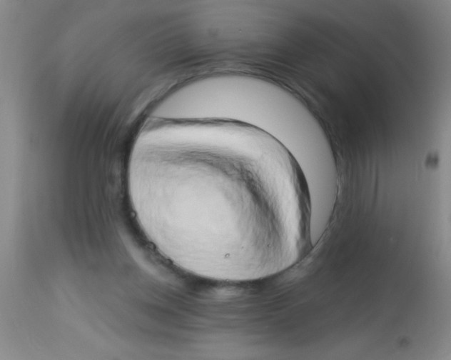 X0000112890158200909181920