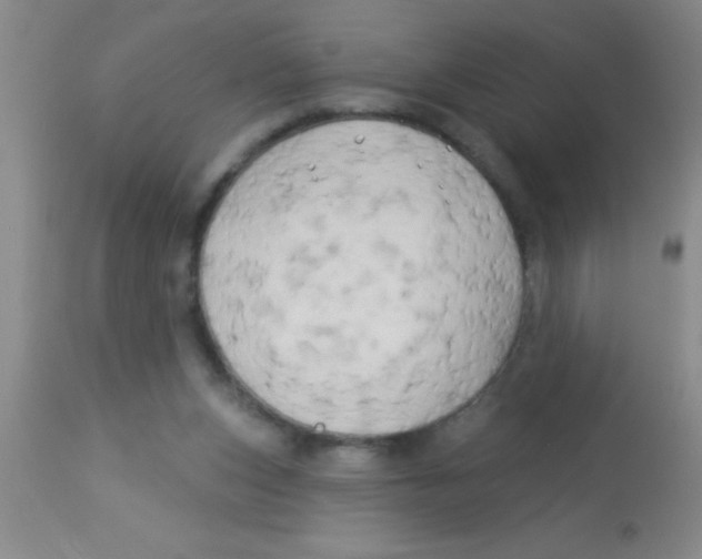 X0000112890159200909181920