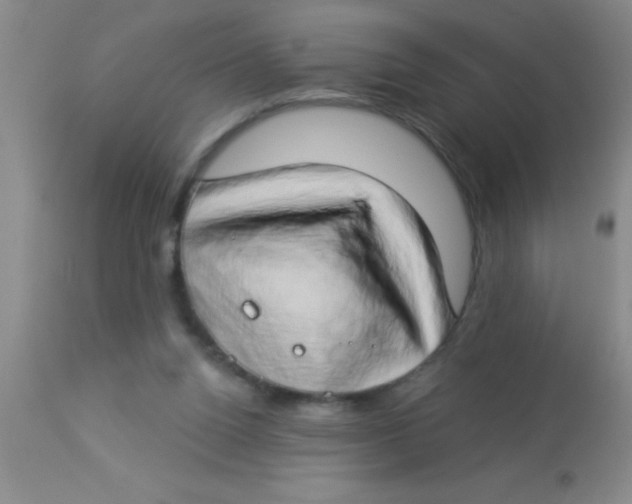 X0000112890160200909181920